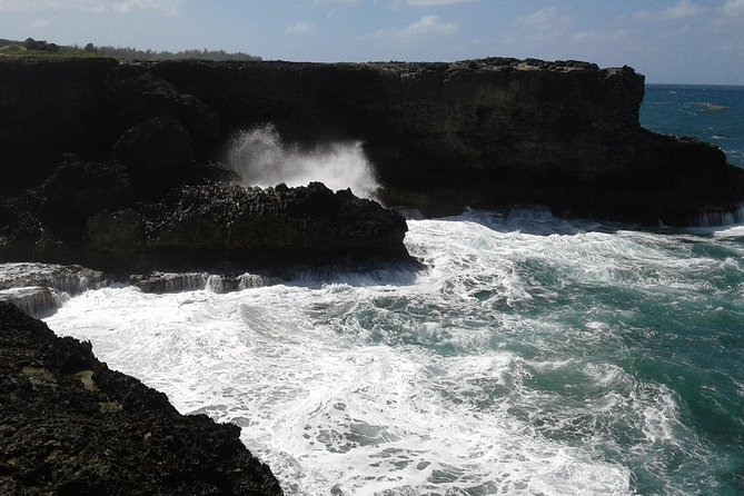 Barbados Sightseeing Plantation distillery tour, Lunch & Drink - A fast look at Barbados from the road