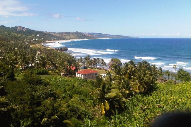 Barbados Sightseeing Plantation distillery tour, Lunch & Drink - Animal Flower Cave, with cliffs instead of a cave visit