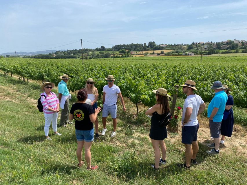 Barcelona: Montserrat with Winery Visit and Farmhouse Lunch - Inside the Pares Baltà Cellars