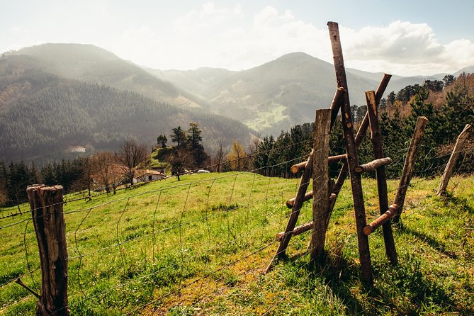 " Basque Farm House & Cider house" tour + meal from San Sebastian - The traditional cider-house meal