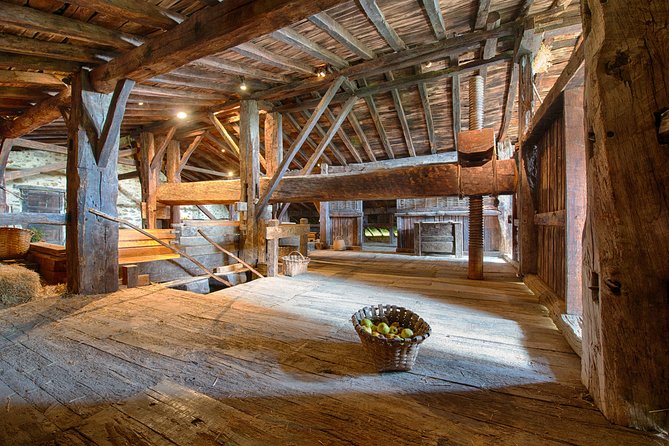 " Basque Farm House & Cider house" tour + meal from San Sebastian - Who will enjoy this outing most