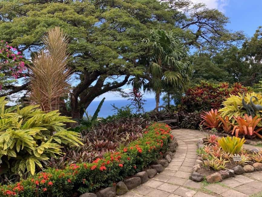 Basseterre: Plantation and Beach Extravaganza - Key points at a glance
