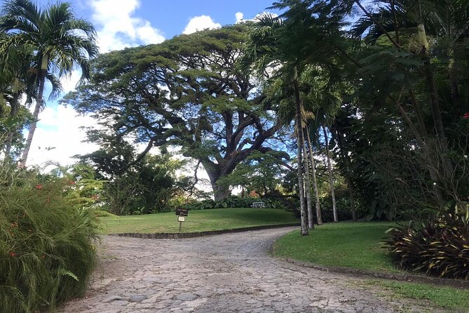 Basseterre Plantation Private Half Day Tour - The price: good value for four, less so for two