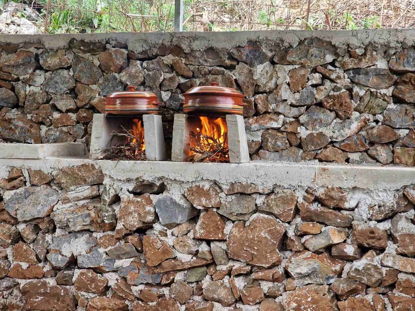 Be A Farmer for A Day in Arevitis Farm! - Who Will Enjoy This Farm Experience Most?