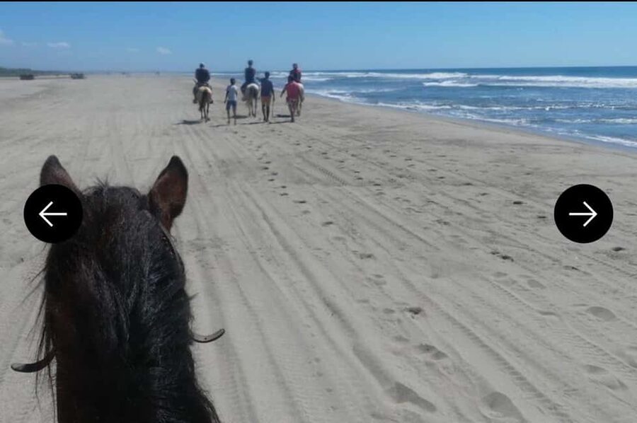 .Beach Horse Riding Turtle Release Crocodile Farm Experience - Key points to know before booking
