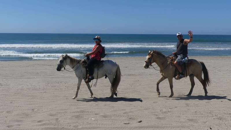 .Beach Horse Riding Turtle Release Crocodile Farm Experience - A wildlife-focused trip beyond Acapulco