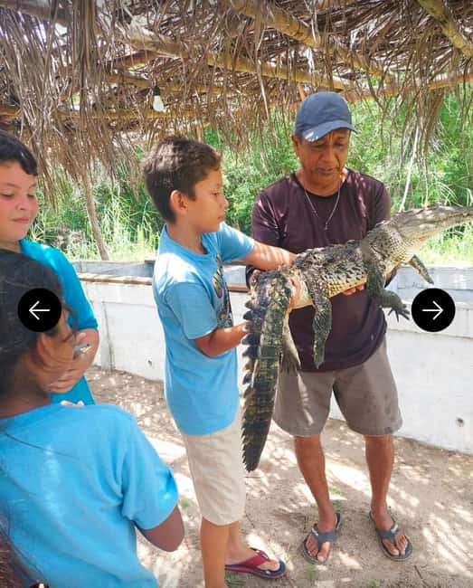 .Beach Horse Riding Turtle Release Crocodile Farm Experience - Horseback riding beside the Pacific