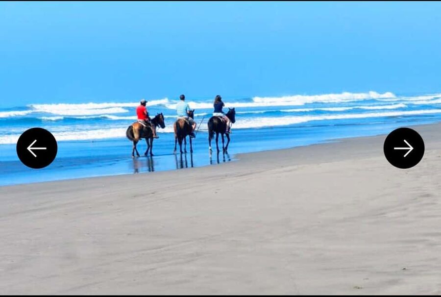 .Beach Horse Riding Turtle Release Crocodile Farm Experience - Meeting an Afro-Mexican community