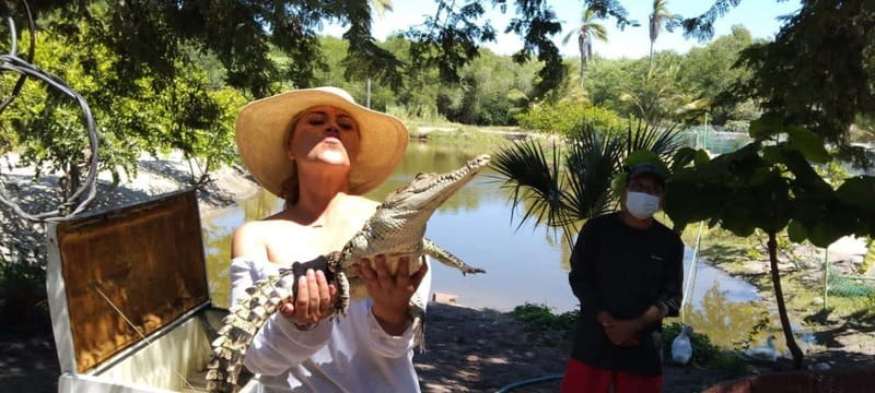 .Beach Horse Riding Turtle Release Crocodile Farm Experience - Crocodiles at the final stop