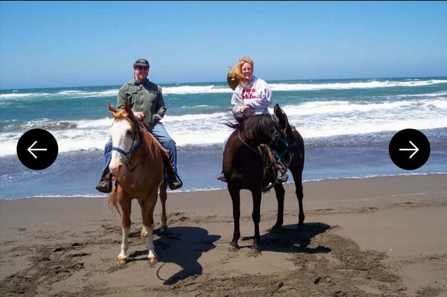 .Beach Horse Riding Turtle Release Crocodile Farm Experience - Who will enjoy this outing most