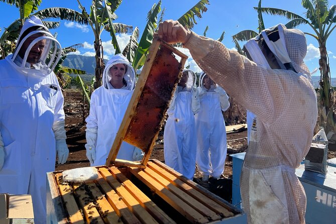 Bee Farm Ecotour and Honey Tasting in Waialua, North Shore Oahu - Is the $135 price a good value?