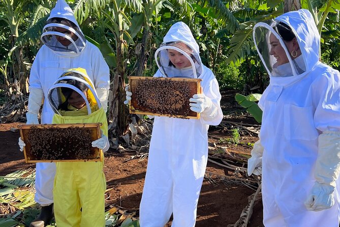 Bee Farm Ecotour and Honey Tasting in Waialua, North Shore Oahu - Timing your North Shore morning