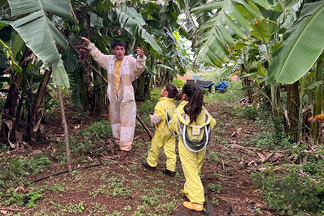 Bee Farm Ecotour and Honey Tasting in Waialua, North Shore Oahu - Holding a frame of raw honeycomb