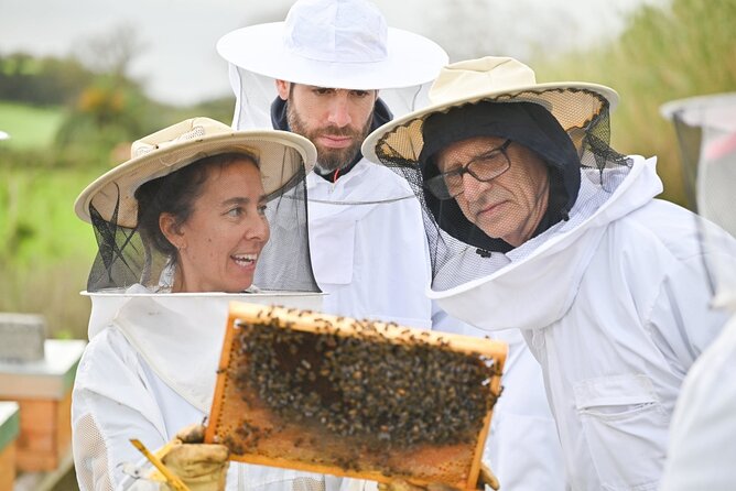 Bee Inspired: A Journey in São Miguel and a Visit to an Apiary - Starting with São Miguel’s volcanic scenery