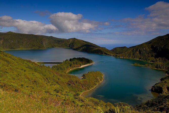 Bee Inspired: A Journey in São Miguel and a Visit to an Apiary - Two hours among the bees