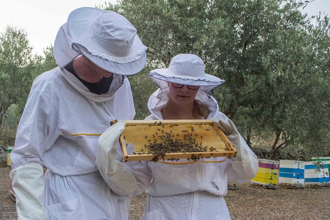 Beekeeping and Honey Stories in Itea - Key points to know before you book