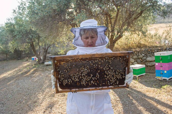 Beekeeping and Honey Stories in Itea - Who will get the most from the two-hour visit