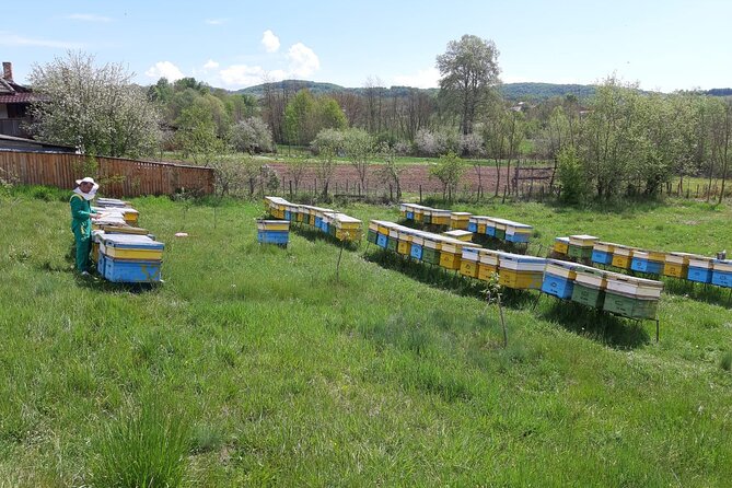 Beekeeping Day Trip| Private Guided Tour from Bucharest - A working apiary instead of a quick sightseeing stop