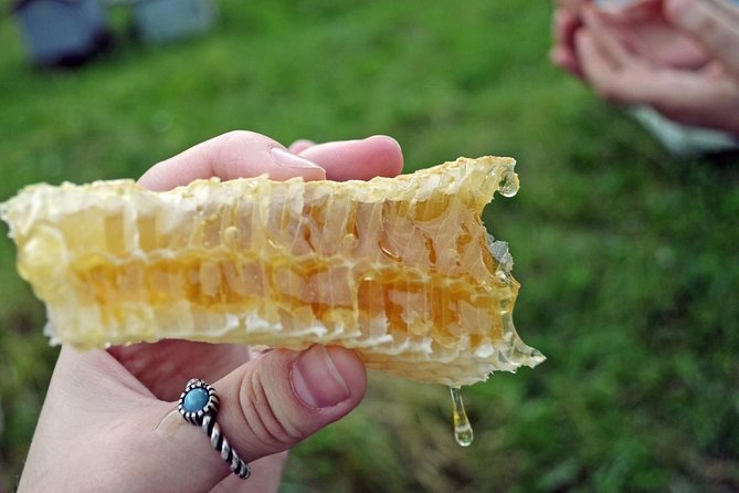 Beekeeping Day Trip| Private Guided Tour from Bucharest - What happens during the beekeeping lesson