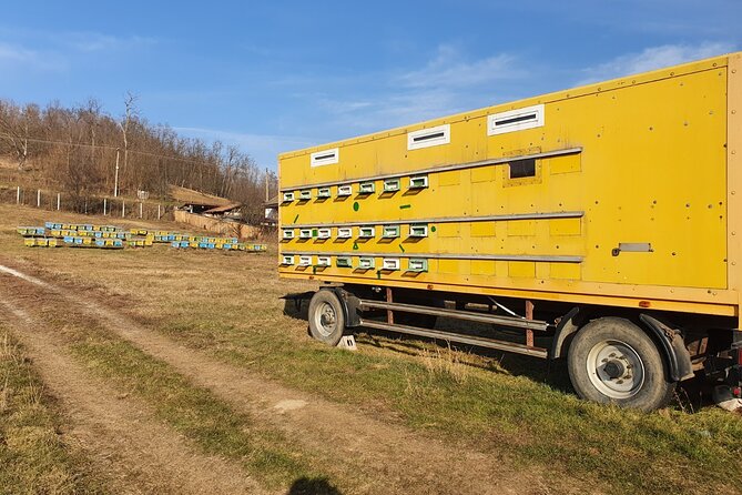 Beekeeping Day Trip| Private Guided Tour from Bucharest - Lunch with Romanian food and ecological products