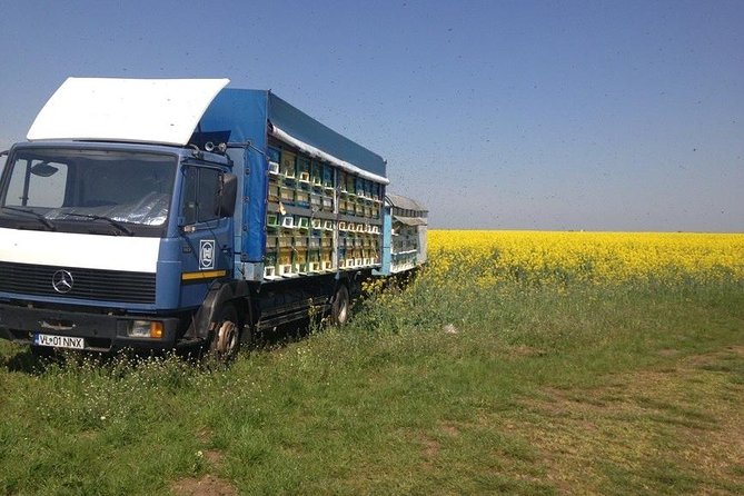 Beekeeping Day Trip| Private Guided Tour from Bucharest - The long road from Bucharest to Valcea County