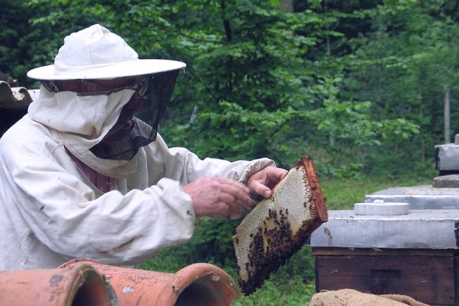 Beekeeping Day Trip| Private Guided Tour from Bucharest - Why the private format matters at $413.44