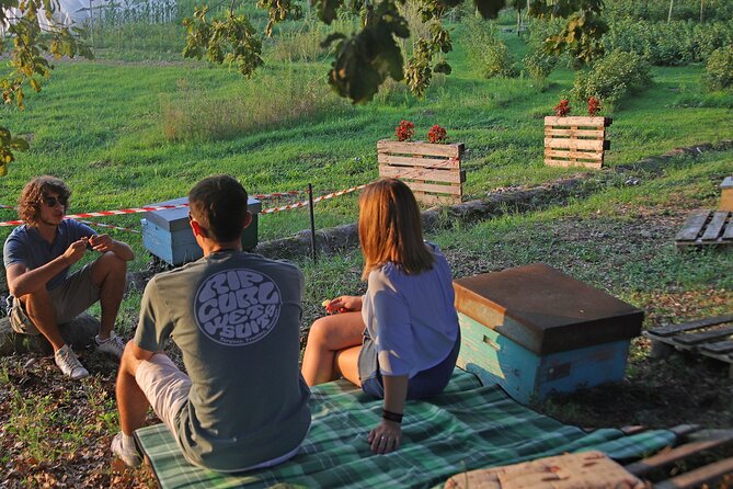 Beekeeping Farm Tour and Tasting Experience in Lazise - Who will enjoy this most