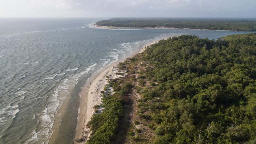 Belém: Marajó Island Day Trip with Buffalo Farm Visit - Choosing between Souré and Salvaterra