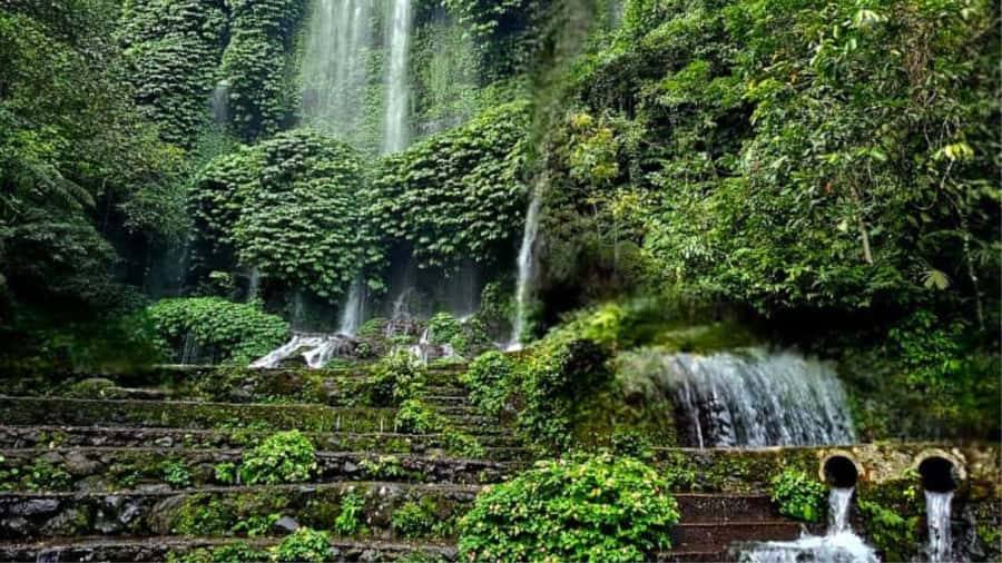 Benang Kelambu: Authentic Lombok Rice Field & Waterfall Tour - Why this 10-hour Lombok tour works