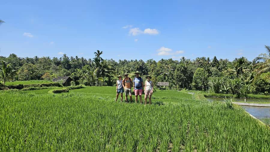 Benang Kelambu: Authentic Lombok Rice Field & Waterfall Tour - Meeting village life over lunch