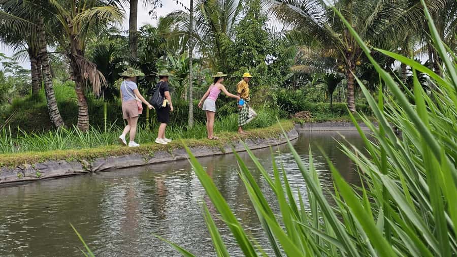 Benang Kelambu: Authentic Lombok Rice Field & Waterfall Tour - Reaching Benang Stokel Waterfall