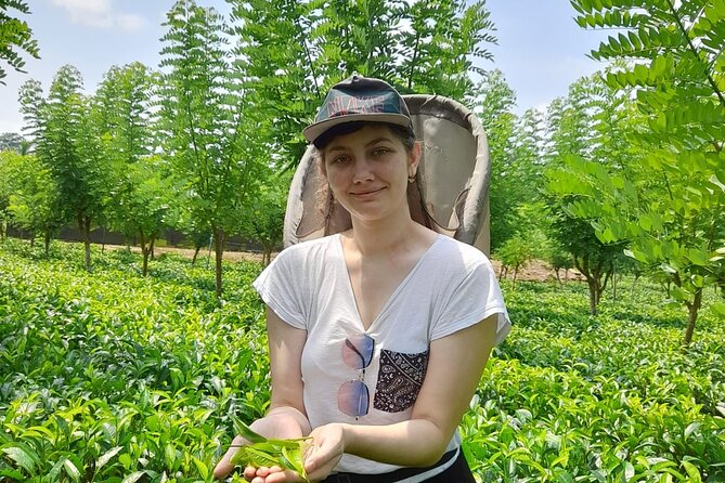 Bentota Village Tour with River Safari & Tea Plantation/Factory - All Inclusive - Bentota River and the one area to watch