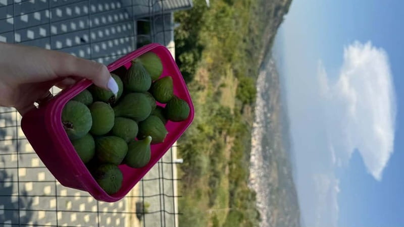 Berat: Farm-to-Table Cooking Class with Local Family - My Call: Book It for the Human Side of Berat