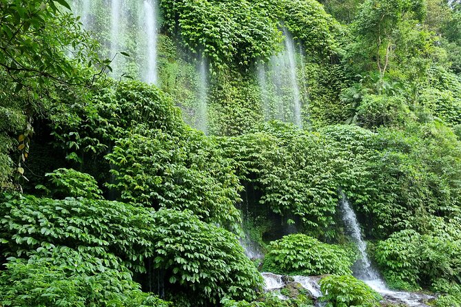 Best Lombok Rice Terrace Walking Tour With Waterfall & Monkey - Aik Berik rice terraces: the best place to slow down