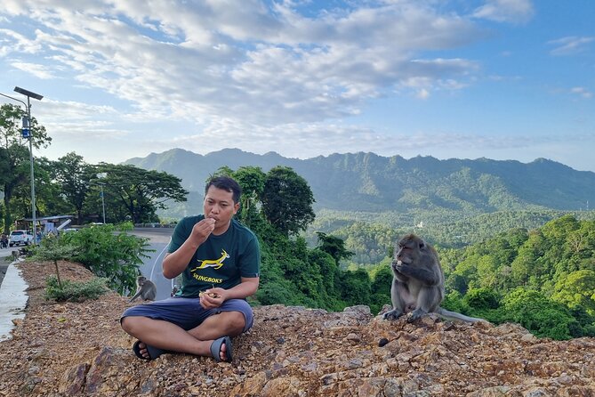 Best Lombok Rice Terrace Walking Tour With Waterfall & Monkey - Puncak Pusuk Pass and the free-roaming monkeys