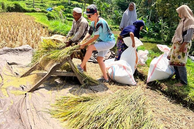 Best Lombok Rice Terrace Walking Tour With Waterfall & Monkey - Private transport makes the long day easier