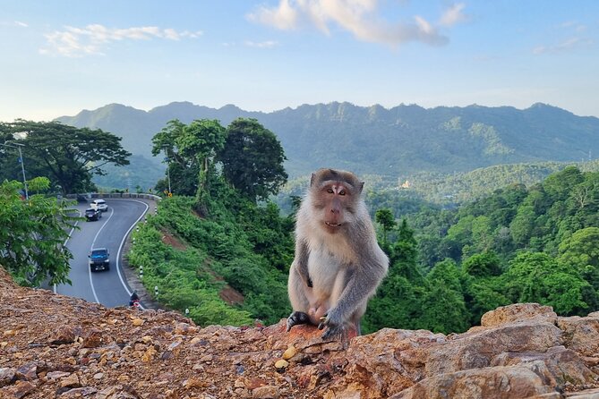 Best Lombok Rice Terrace Walking Tour With Waterfall & Monkey - Practical details that can improve the day