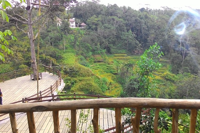 Best of Bali : Ubud, Rice terrace, Tanah lot temple with Lunch - One long day connecting Bali’s classic sights