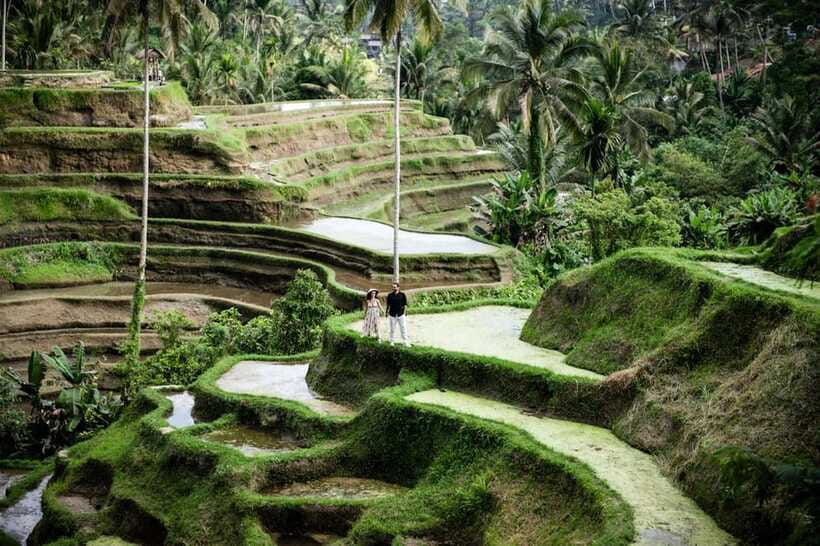 Best Of Ubud Purification Rice Terrace and Waterfall - Who should book this experience