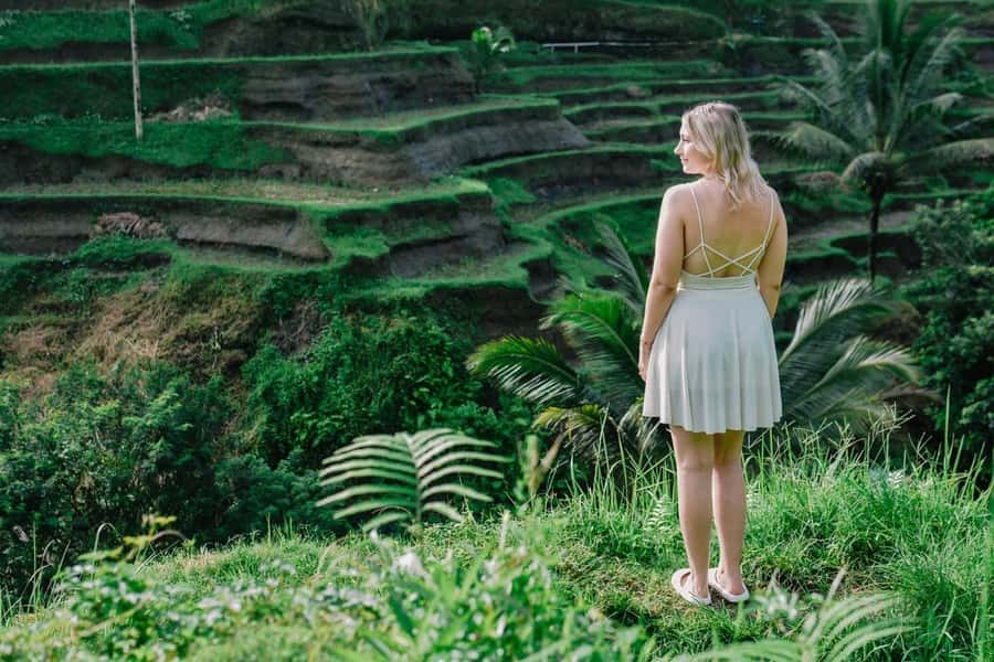 Best Of Ubud Purification Rice Terrace and Waterfall - Final call: is it worth booking?
