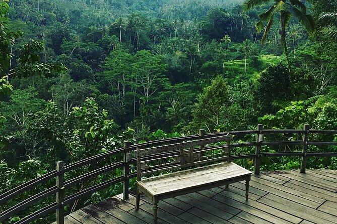 Best of Ubud: Rice Terrace, Temple and Waterfall Private Tour - Monkey Forest combines trees, temples, and animals
