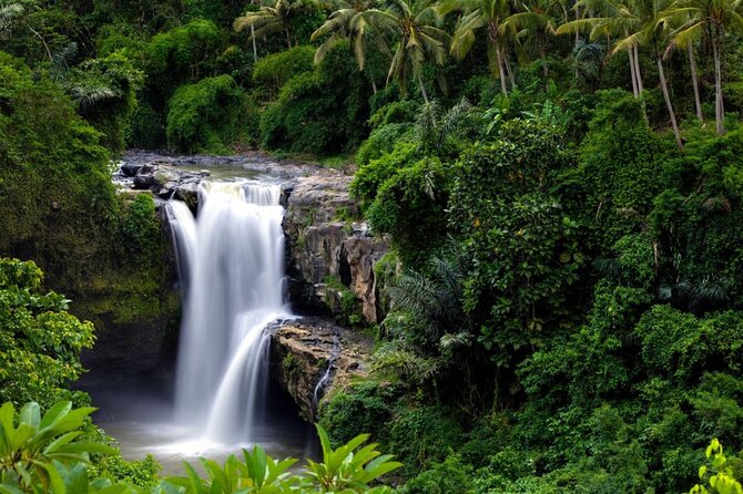 Best of Ubud: Rice Terrace, Temple and Waterfall Private Tour - Optional temples, villages, and markets need careful planning