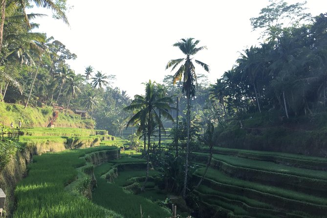 Best of Ubud Waterfalls, Tegalalang Rice Terrace and Swing Tour - Tukad Cepung and the light through the cliffs