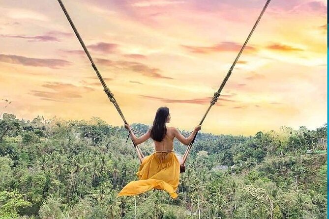 Best of Ubud Waterfalls, Tegalalang Rice Terrace and Swing Tour - The driver-guide is a major part of the value