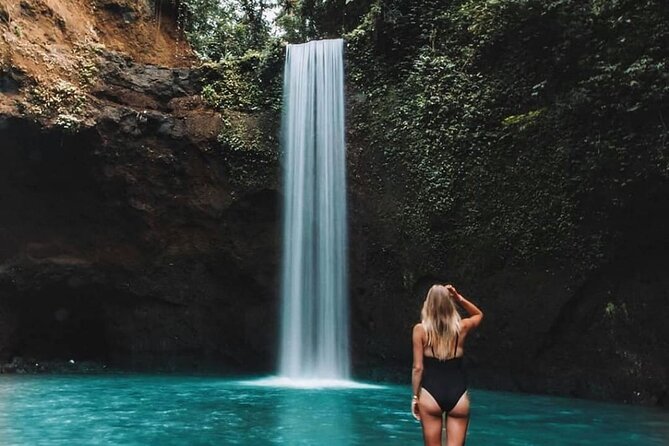 Best of Ubud Waterfalls, Tegalalang Rice Terrace and Swing Tour - Tegalalang Rice Terrace and the first swing