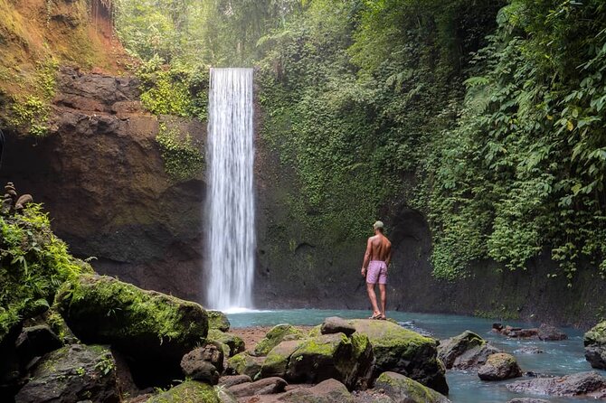 Best of Ubud: Waterfalls, Temple & Rice Terraces Private Day Tour - Coffee plantation: a taste of Bali’s farming traditions