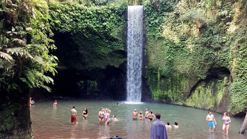 Best Ubud Rice Terrace, Waterfall, Temple Private Transfers - A full day built around Ubud’s best variety