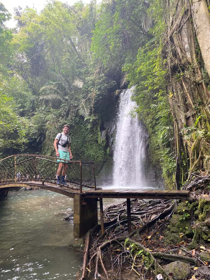 Best Watefalls, Monkey Forest, Temple and Rice terrace - Segara Windhu: coffee, tea, and the working side of Bali