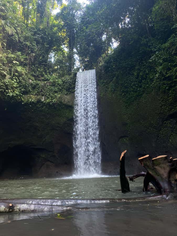 Best Watefalls, Monkey Forest, Temple and Rice terrace - Mengening Temple and Balinese purification