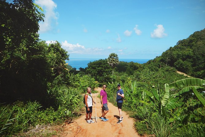 Big Buddha Jungle Trekking and Temple tour with Lunch - A five-hour day with more walking than driving